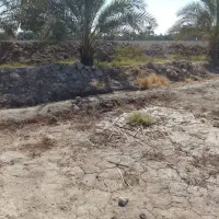 فروش زمین کشاورزی 4000متر