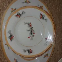 سرویس چینی طرح کاج
