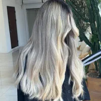 نیازمند مدل ترجیحا هزینه مواد