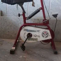 دوچرخه ثابت