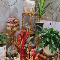 استند پایه گل روسی|گل و گیاه طبیعی|مشهد, شهید احمدی روشن|دیوار