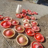 تجهیزات مرغداری|ماشینآلات صنعتی|ماهدشت, |دیوار