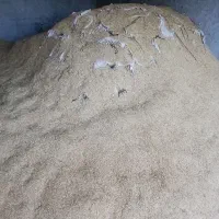 فروش کاه سفید و ...