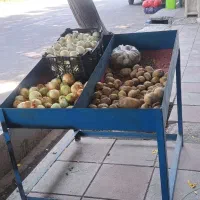 استند میوه فروشی