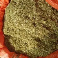 کاه‌یونجه