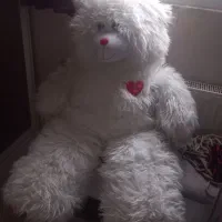 خرس بزرگ