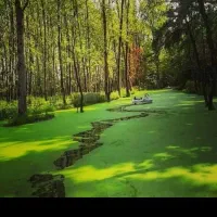 شمال بندرانزلی مرکزخریدکاسپین وجگلهای سراوان