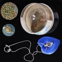 گردنبندمرواریدعشق