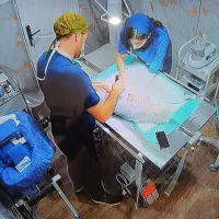 استخدام نظافتچی