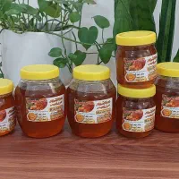 عسل محصولی شیرین از جهان زنبورهاست