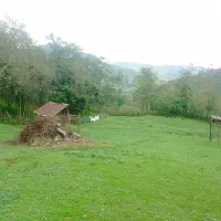 زمین مسکونی پلاک اول جنگل  ماسال|فروش زمین و ملک کلنگی|صومعه‌سرا, |دیوار