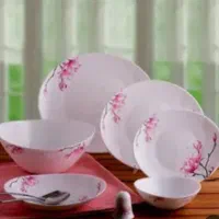 ظروف پذیرایی شیک