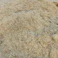 کاه نوخود نرم