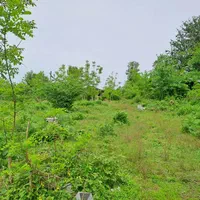 زمین 8000 متری لاهیجان ویو ابدی مناسب گلخانه|فروش زمین و ملک کلنگی|لاهیجان, آهندان|دیوار