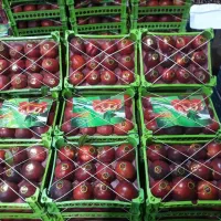 میوه استوایی توت فرنگی میوهای چهار فصل تالار مجالس|خوردنی و آشامیدنی|تهران, میدان میوه و ترهبار مرکزی|دیوار