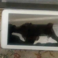 3عدد تبلت|تبلت|تبریز, |دیوار