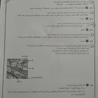 سوالات تشریحی سنجش زیست دهم