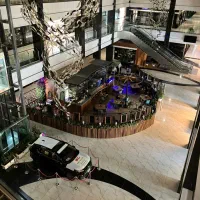 فست فود زن حرفه ای و ویتر واشپز و باریستا