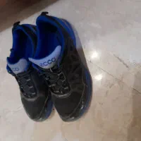 کتانی ecco|کیف، کفش، کمربند|تهران, جنت‌آباد جنوبی|دیوار