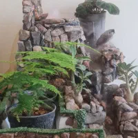 خانه-ویلایی-در-روستا
