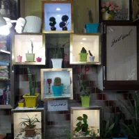 باکس هر کدوم ۲۰۰ ت|کتابخانه، شلف، قفسه‌های دیواری|اهر, |دیوار