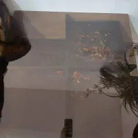 میزجلومبلی عسلی قهوه ای