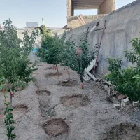 خانه باغ مبله 300 متری|فروش خانه و ویلا|زبرخان, |دیوار