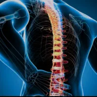 فیزیوتراپی در منزل شما|خدمات آرایشگری و زیبایی|فردیس, قریشی|دیوار