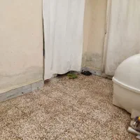 2100 میلیارد/یک خوابه/ سپاه جنوبی|فروش خانه و ویلا|شیراز, تندگویان|دیوار