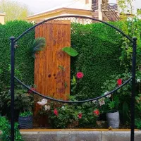رگال سلطنتی / مزونی