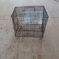 قفس پرنده