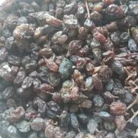 کشمش ملکان و شیره انگور ، خرما