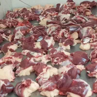 فروش گوسفند گوشتی وزنده باسکول ۲۰تا۱۰۰کیلو|حیوانات مزرعه|مشهد, توس (بلوار توس)|دیوار