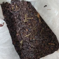 کشمش|خوردنی و آشامیدنی|نیشابور, عدالت|دیوار