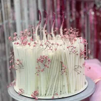 کیک تولد و خانگی