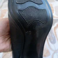 کفش شیک ونو|کیف، کفش، کمربند|بندر امام خمینی, |دیوار