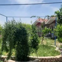 ویلا باغ ۳۰۰۰م۶دانگ تک برگ+دامداری باپروانه۱۹۵راسی|فروش خانه و ویلا|قم, نیروگاه|دیوار