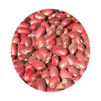 لوبیا قرمز|خوردنی و آشامیدنی|شاهینشهر, شهرک میلاد|دیوار