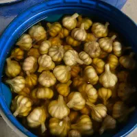 پخش ، زیتون ، گلسیر ، سیر ترشی ، روغن زیتون|خوردنی و آشامیدنی|رودبار, |دیوار