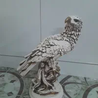 عقاب پلی استر