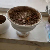 گلدان|صنایع دستی و سایر لوازم تزئینی|تربتحیدریه, حسنی بالا|دیوار