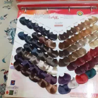 کاتالوگ رنگ مو|آرایشی، بهداشتی، درمانی|تربتحیدریه, باغ ملی|دیوار