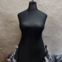 مانکن سوزن خور