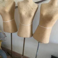 مانکن سوزن خور نیس