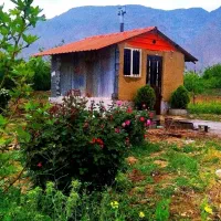 باغ فروشی