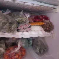 یخچال پیلور بدون هیچ ایراد فقط تا دوشنبه|یخچال و فریزر|رشت, کوی مهر|دیوار