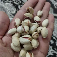 شش کیلو پسته احمد آقایی درجه یک