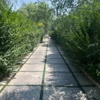 ویلا بیلیارد اب گرم|اجارهٔ کوتاهمدت ویلا و باغ|تهران, شهرک چیتگر|دیوار