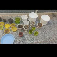 گلدان پلاستیکی با کفی