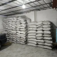 گندم بذری دیم درجه یک کم نظیر